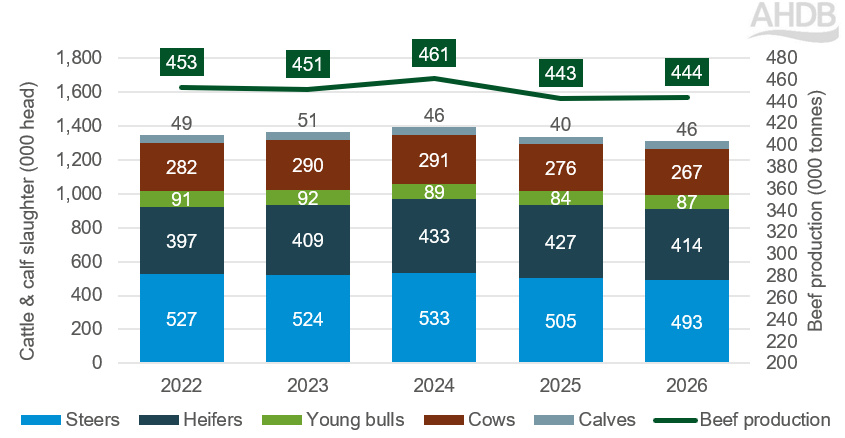 Stacked bar and line chart showing UK cattle and calf slaughter and beef production from 2022 to 202